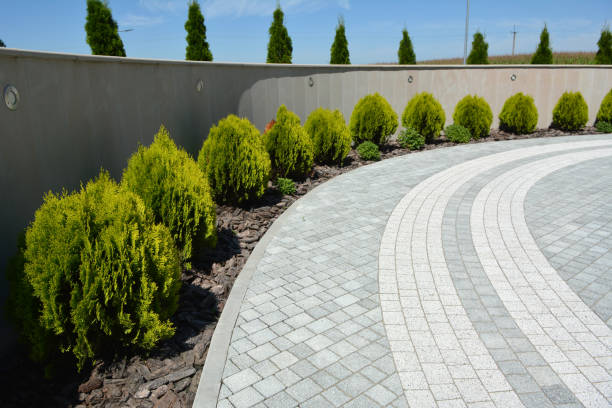 Best Driveway Paving Contractor  in New Ulm, MN